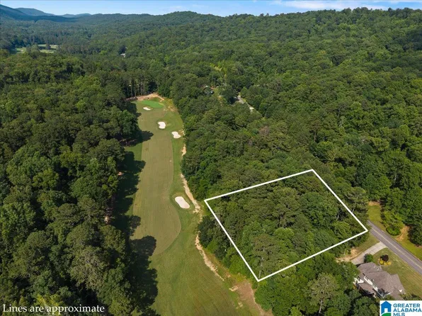 433 Saint Andrews Pkwy #1, Oneonta, AL 35121