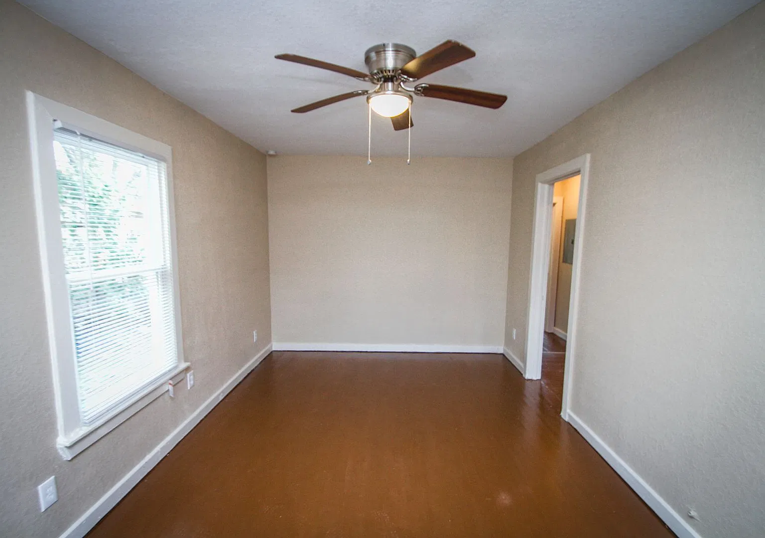 934 Poinsettia — Photo 4