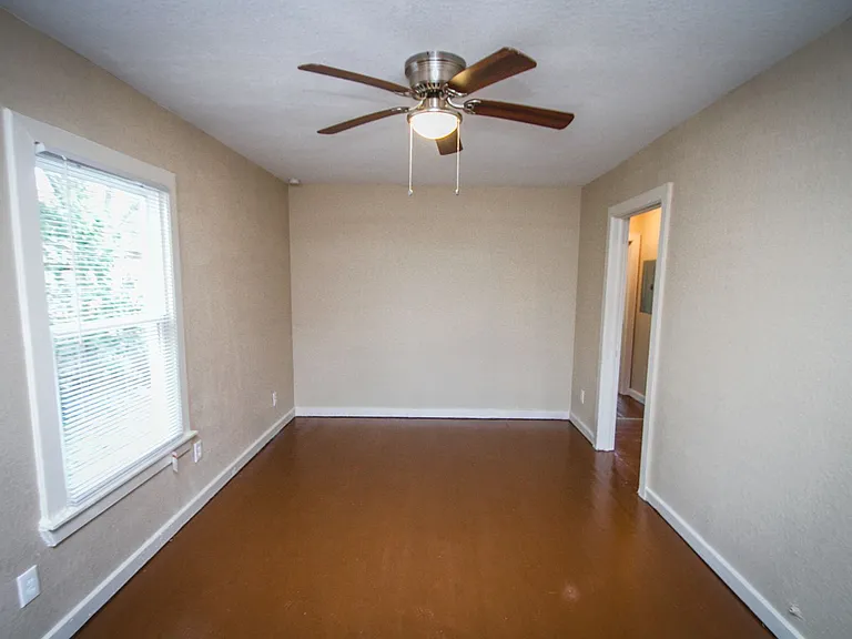 936 Poinsettia — Photo 4