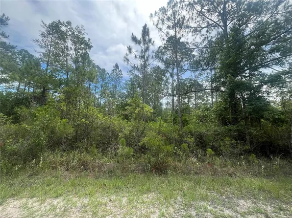 Weatherby Ave, Hastings, FL 32145