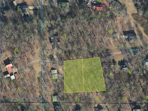 36 Forest Ln #43, Alexandria, AL 36250