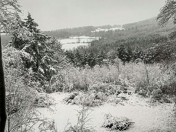 3rd image of 689 Woodbury Rd