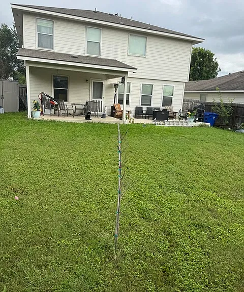 337 Longhorn Way — Photo 3