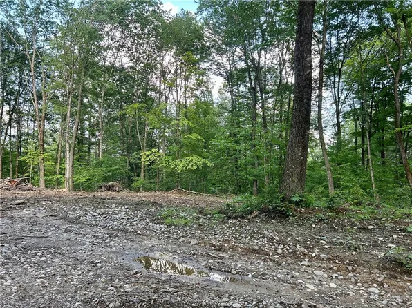 (undisclosed Address), Oxford, NY 13830