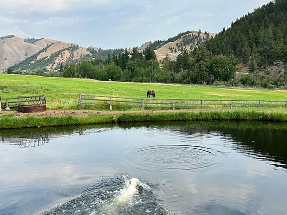 51st image of this home