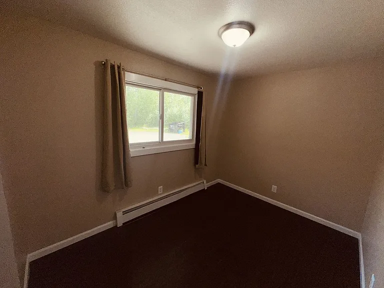 374 E Chickaloon Way — Photo 4