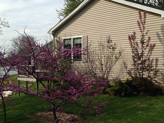 4th image of 821 Poplar Dr