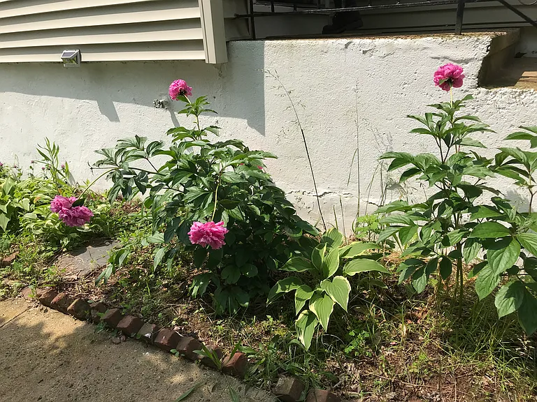 Reilly Ct — Photo 18