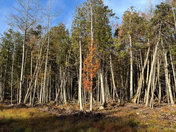 070-014 Sunrise Shore Road, Steuben, ME 04680