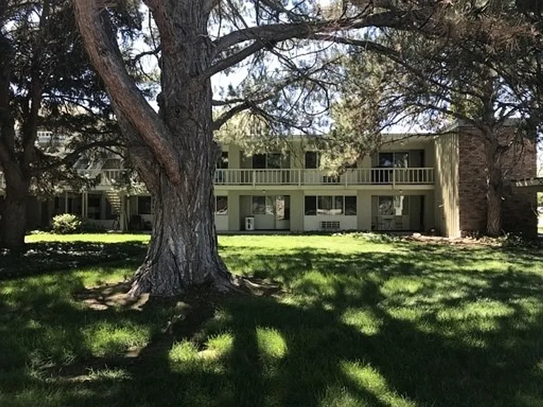 401 S Holly St — Photo 18