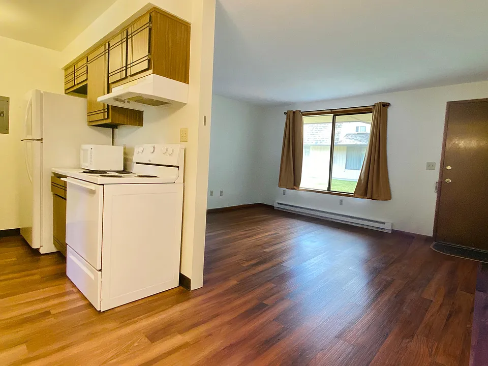 Living room and kitchen