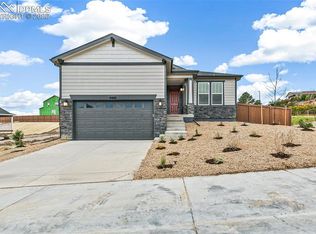 4469 Soapberry Pl, Castle Rock, CO 80108