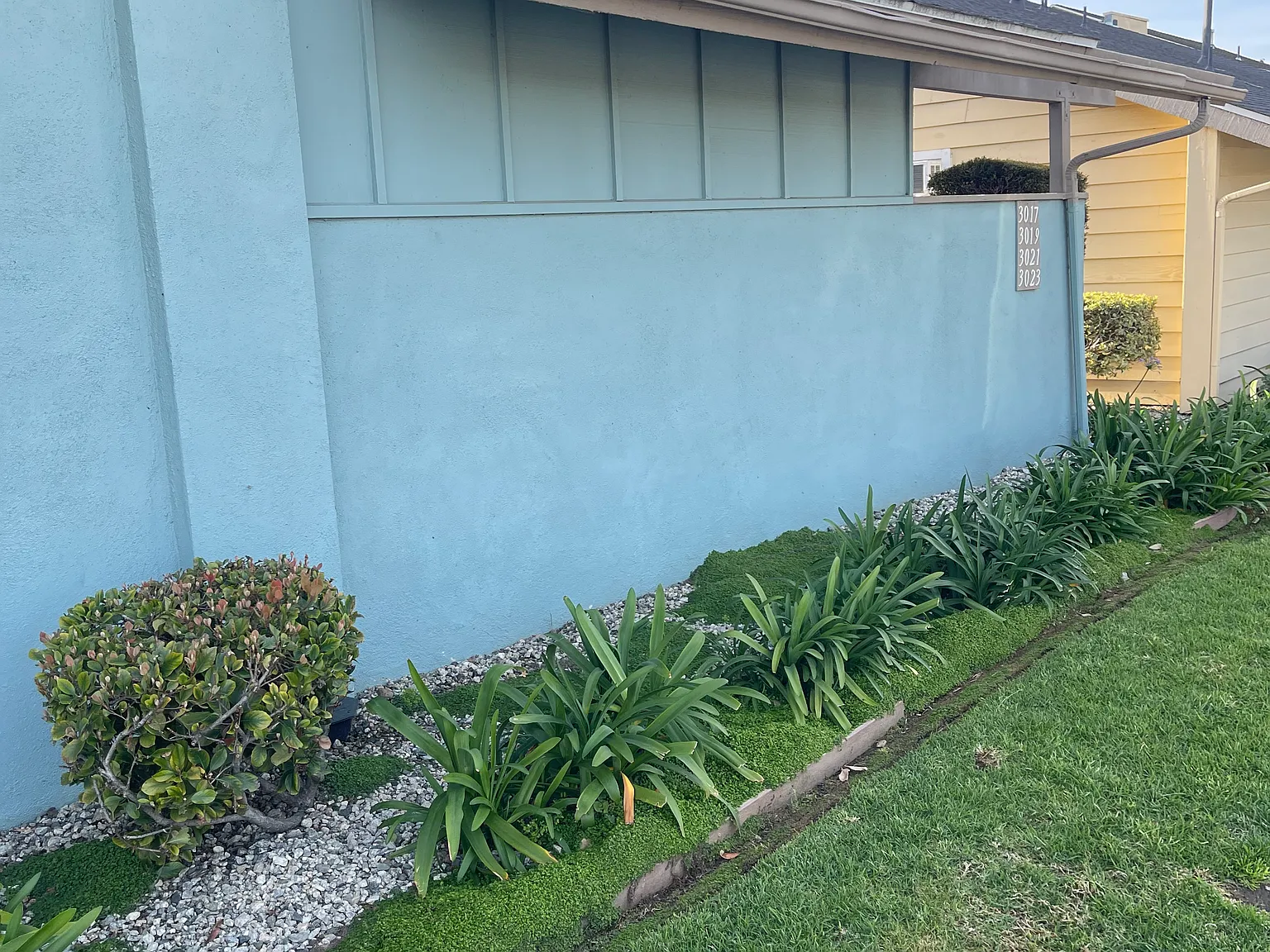 2 bed, 904 sqft, $2,950 — Photo 3