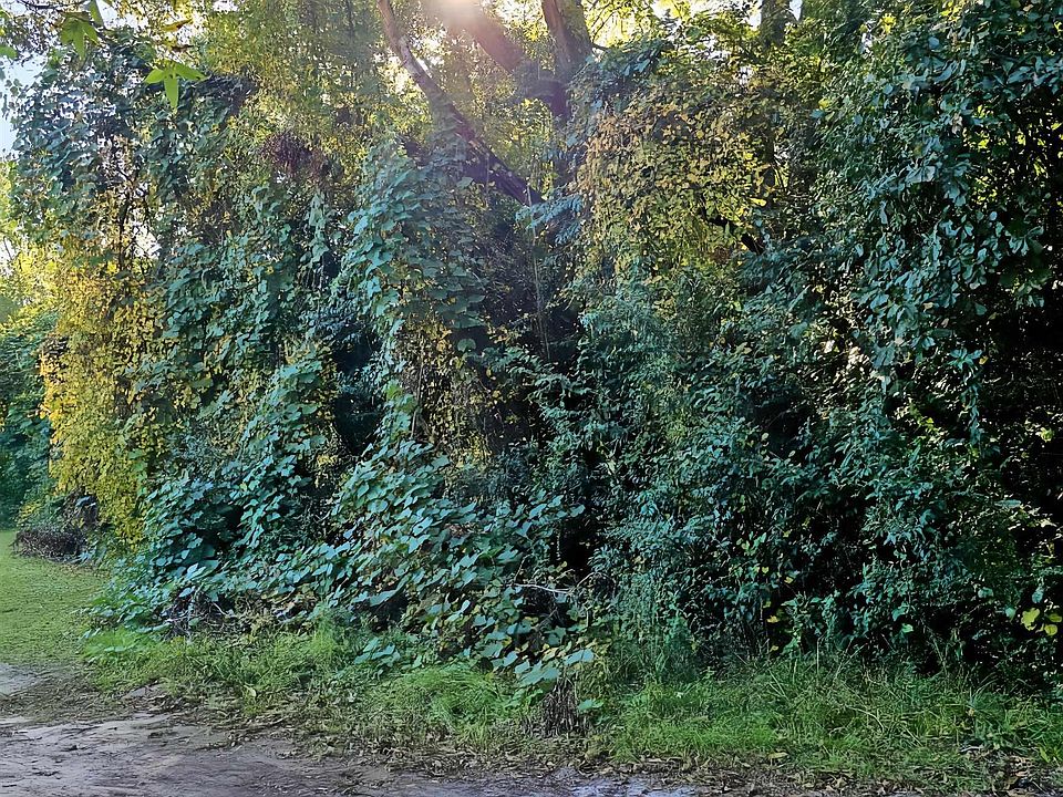 2nd image of Ragin St