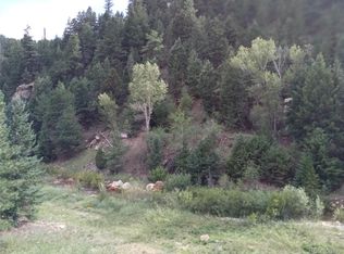 0 HWY 119, Black Hawk, CO 80422