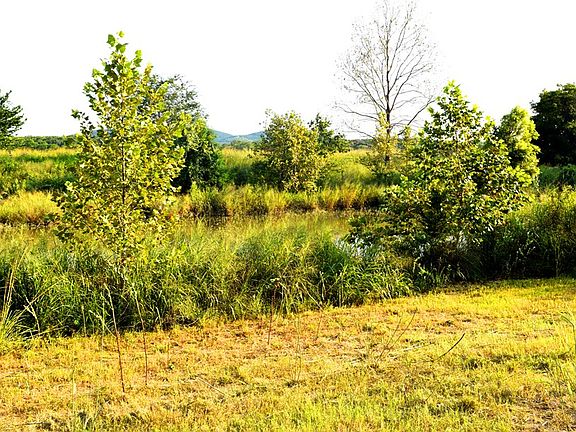 2nd image of 217 Caw Ln