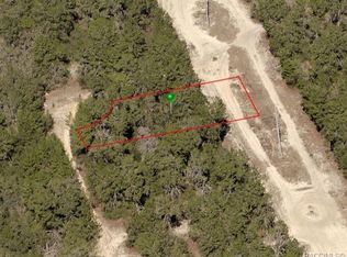 116 N Cristy Ave, Inverness, FL 34452