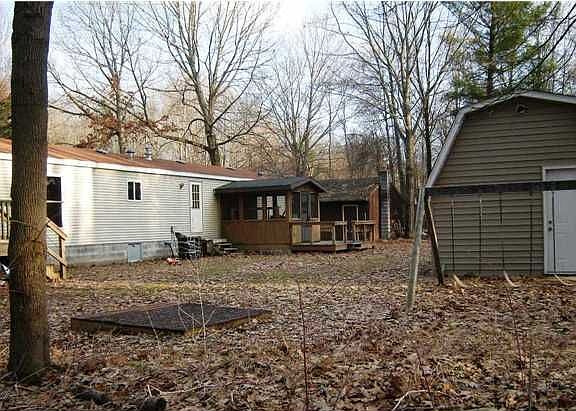 Shed and back yard