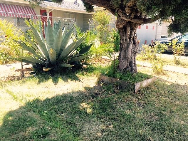 2nd image of 37 Shady Oaks Dr