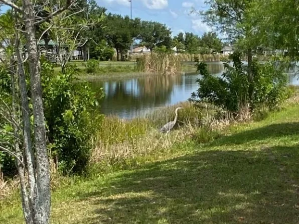 334 SW 26th Pl, Cape Coral, FL 33991