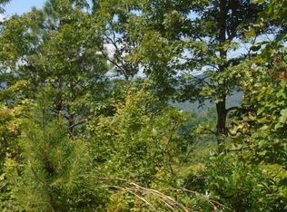 0 Wiggins Rd, Bryson City, NC 28713