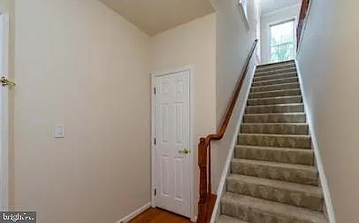 4647 Red Admiral Way #163 — Photo 44