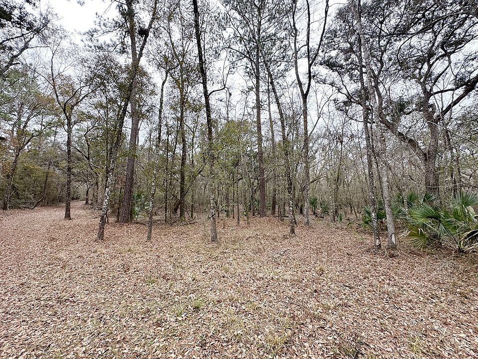 2nd image of 7875 SW County Road 344