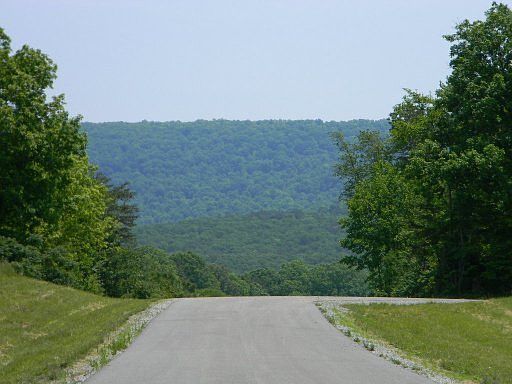 2nd image of Suzie Ct