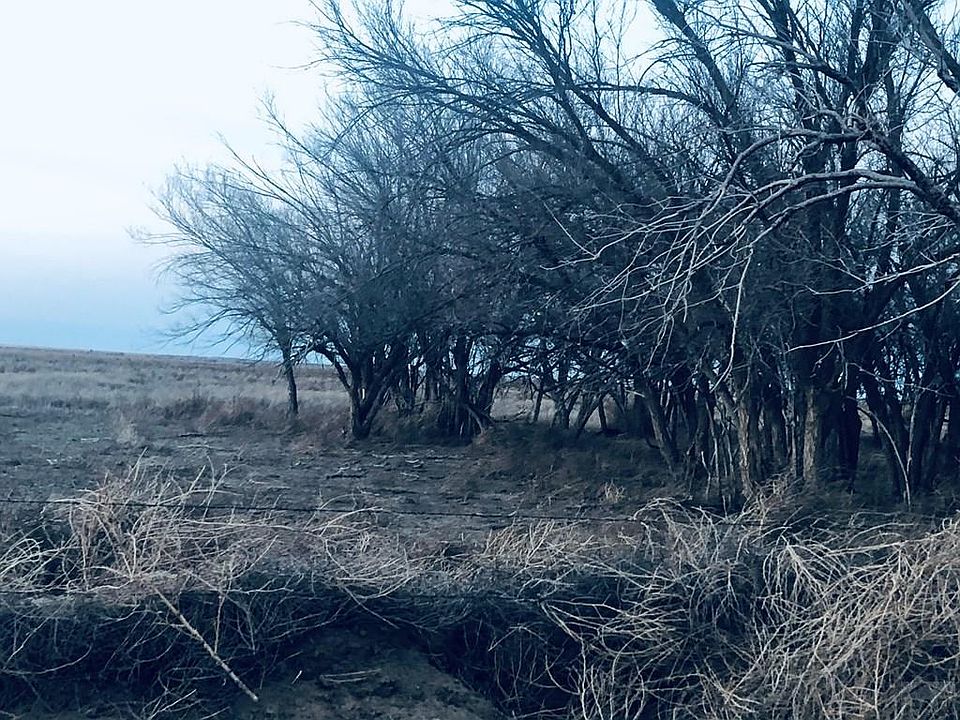 2nd image of County Ln #16