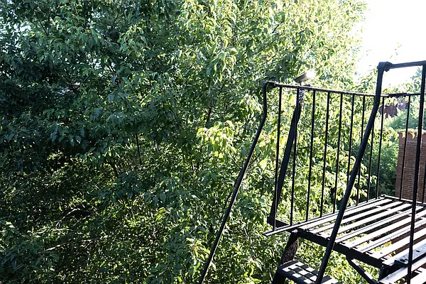 Rented by Susan Penzner Real Estate | media 23