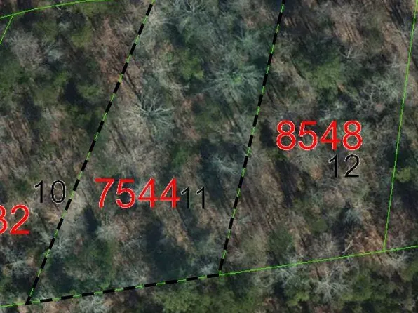Biggerstaff Loop Lot 11, Nebo, NC 28761