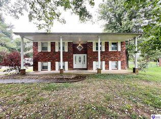 115 Joy K Lynn St, Cecilia, KY 42724