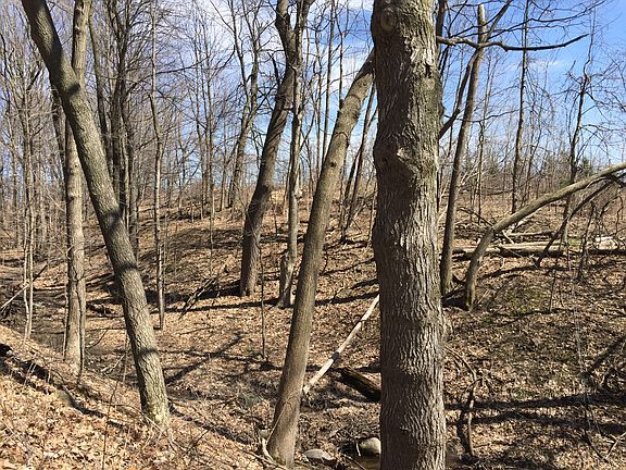4th image of 5450 Natures Place Dr