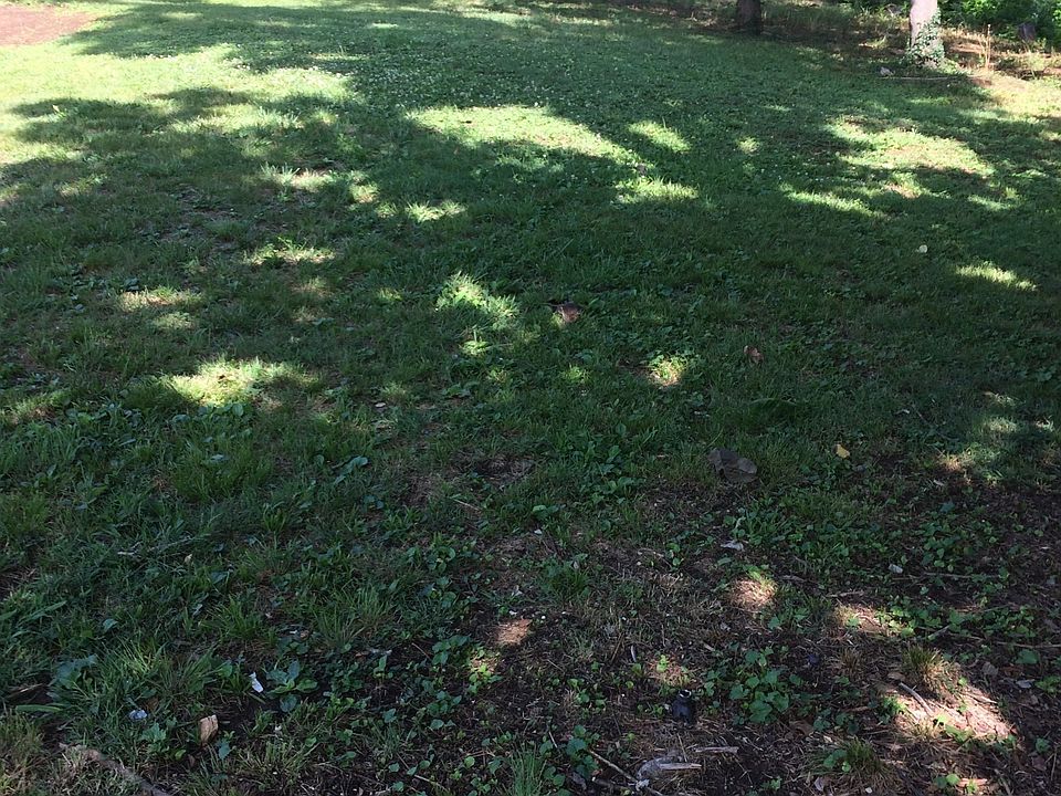 2nd image of 2147 18th Ave N