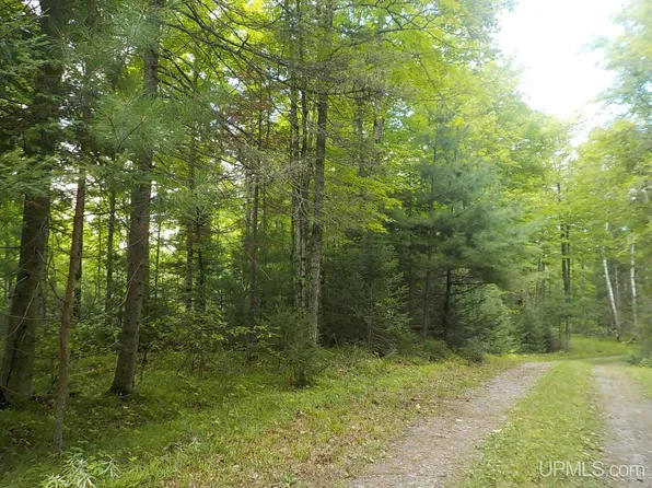 PARCEL Tirapelli Ln #A, Crystal Falls, MI 49920