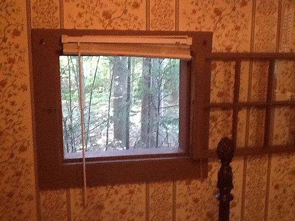 Window overlooking the woods