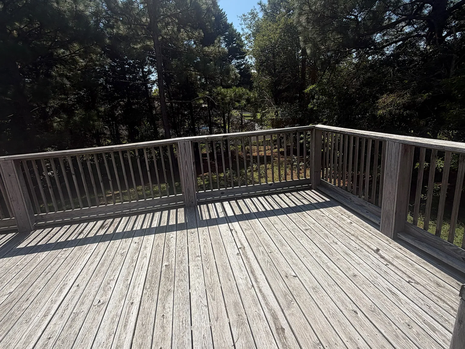 3 bed, 1400 sqft, $1,750 — Photo 3