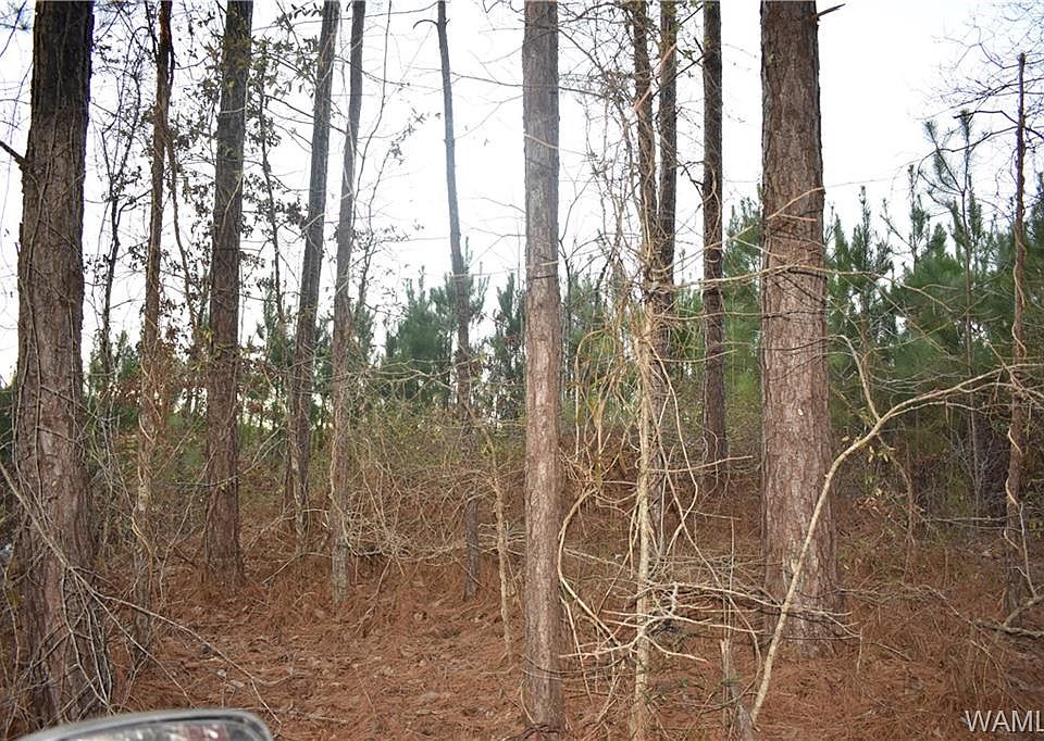 2nd image of 875 Fawn Dr