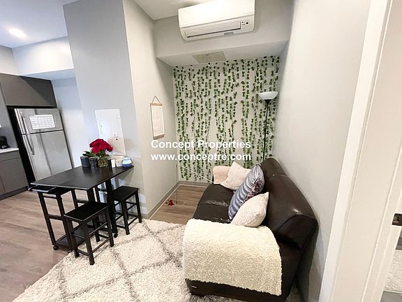 2nd image of 100A Hemenway St #105