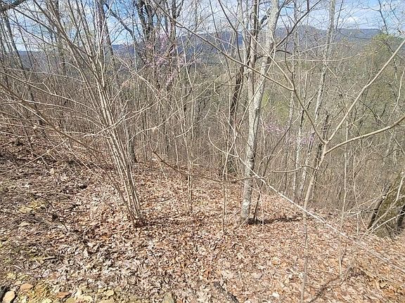 3rd image of 0 Mountain Holly Way Lot 47