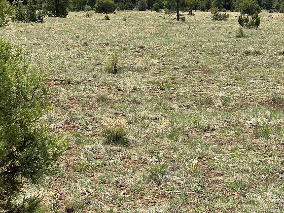 5th image of TBD E MOUNTAIN MEADOW Lane #033