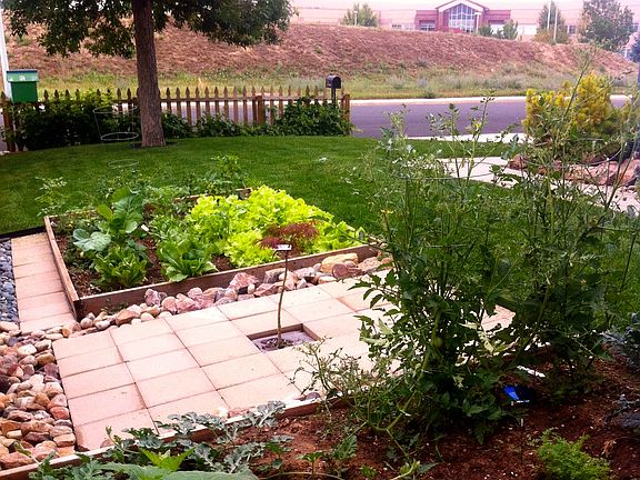 3 raised garden beds