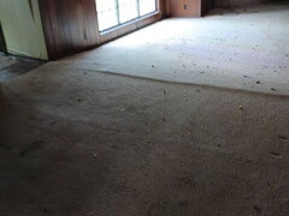 15th image of 708 Parkview
