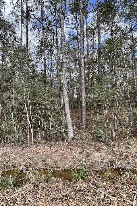 2nd image of 0 Johnsen Rd