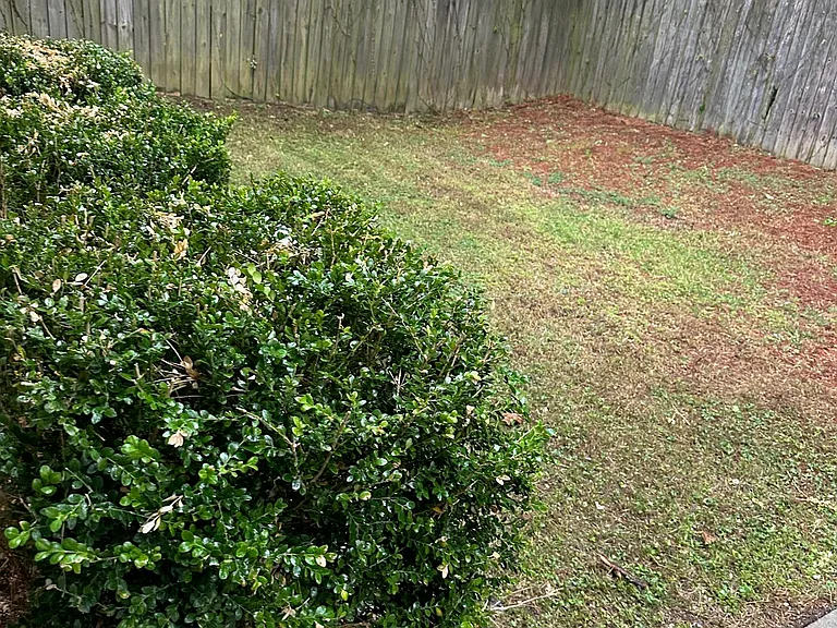 512 Camden Cove Cir — Photo 11