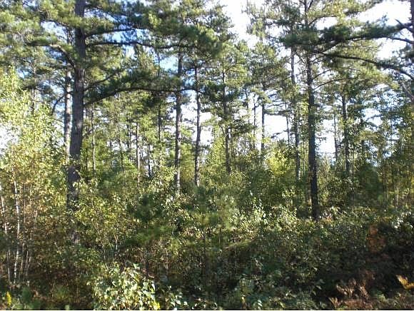 1st image of Lot 9 Caitlin Drive