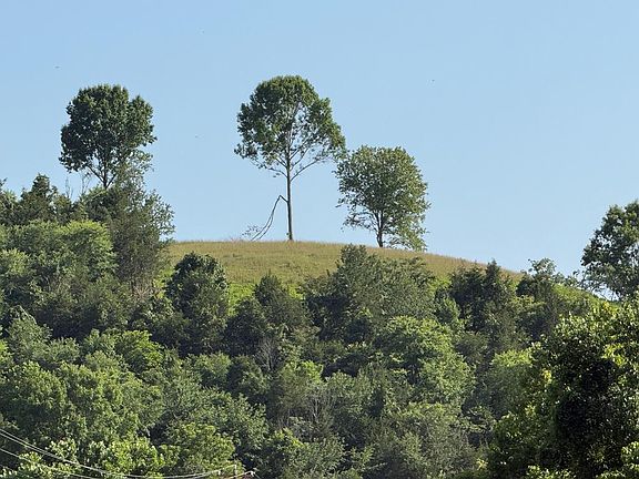 3rd image of Baugh Hollow Ln