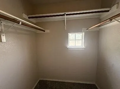 1729 Constantino Cir — Photo 23