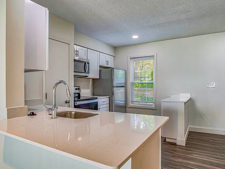 Quartz countertops and stainless steel, energy efficient appliances