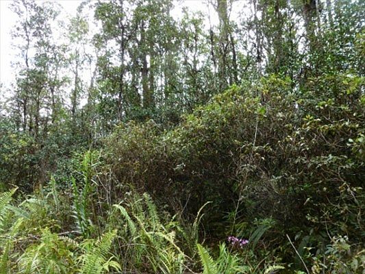 1st image of Lanai St Lot 677
